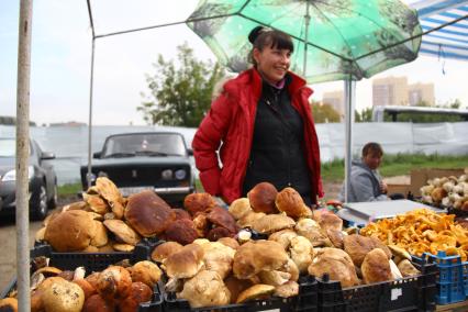 Продажа грибов на рынке. На снимке: продавец рядом с лотками грибов.