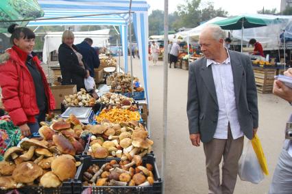 Продажа грибов на рынке. На снимке: продавец рядом с лотками грибов, мужчина осматривает товар.