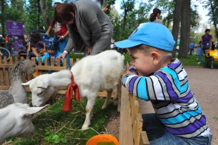 ЦПКиО им.Горького. На снимке: живой уголок.