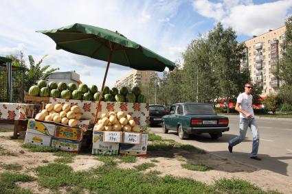 Прилавок с дыней и арбузами на обочине дороги.