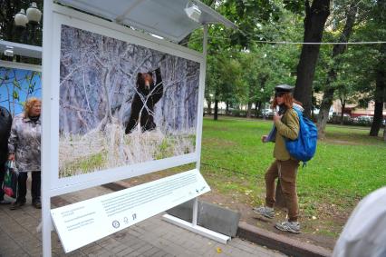 Фотовыставка `Лесные истории`