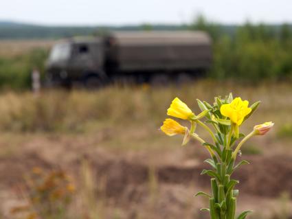 288-я Артиллерийская Бригада. Цветок на фоне военной техники.