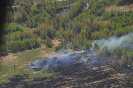 Тушение лесных пожаров в Московской области