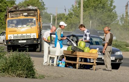 Придорожная торговля арбузами. Покупатель выбирает товар на лотке.