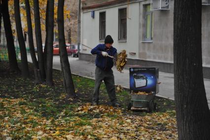 Уборка листьев