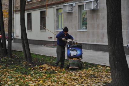 Уборка листьев