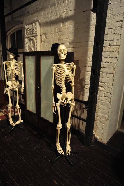 Скелеты







Ксения Вдовина