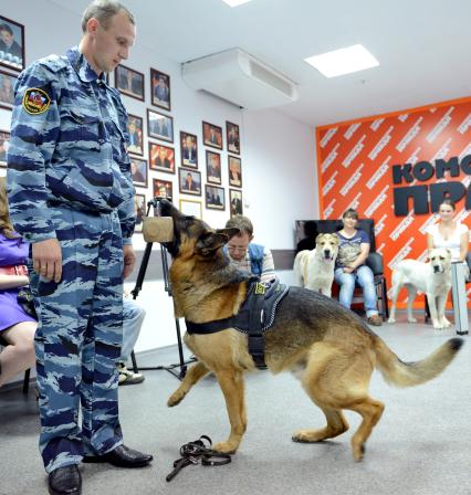 В новосибирской редакции `Комсомольской правды` в преддверии дня кинолога прошел фестиваль собак. На снимке: кинолог с немецой овчаркой.