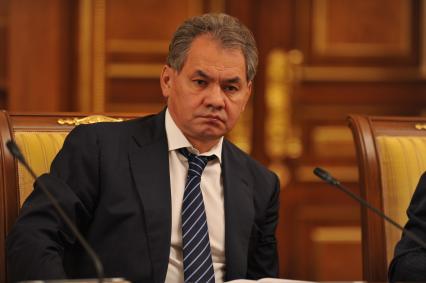Сергей Шойгу
Ксения Вдовина