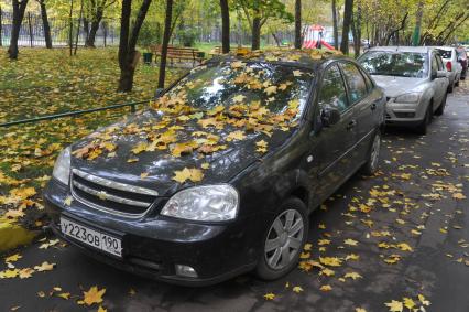 Осень
















































Ксения Вдовина