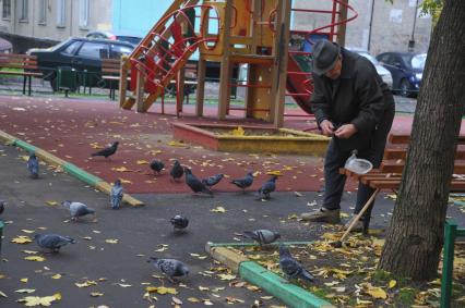 Пенсионер и голуби

























































Ксения Вдовина