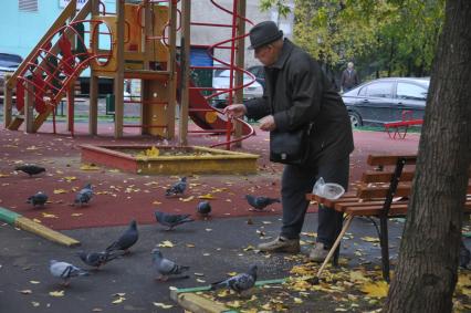 Пенсионер и голуби

























































Ксения Вдовина