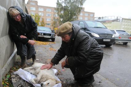 Отравленная собака


































































Ксения Вдовина