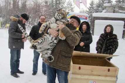В Барнаульский зоопарк прибыла амурская тигрица по кличке Багира. На снимке: директор барнаульского зоопарка Сергей Писарев держит на руках тигрицу.