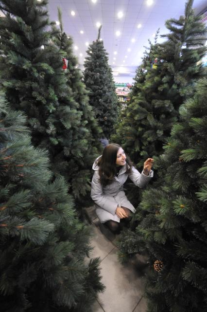 Магазин по продаже новогодних елок. На снимке: Девушка выбирает себе искусственную новогоднюю елку.