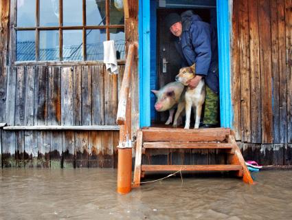 Весенним паводком затопило деревню в Самарской области. На снимке:  Мужчина, деревенский житель, стоит на крыльце затопленного дома, держит собаку и свинью.