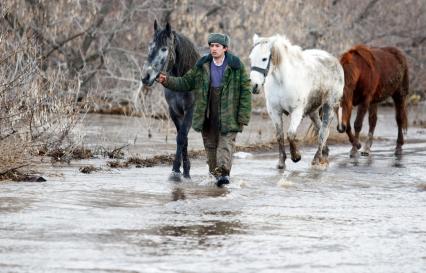Весенним паводком затопило деревню в Самарской области. На снимке: По затопленной улице мужчина ведет под уздцы лошадь, сзади идут ещё две лошади.