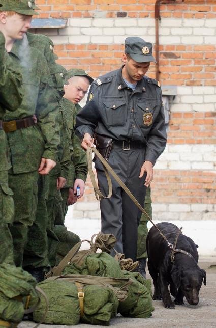 Полицейский кинолог с собакой обследует вещи призывников.