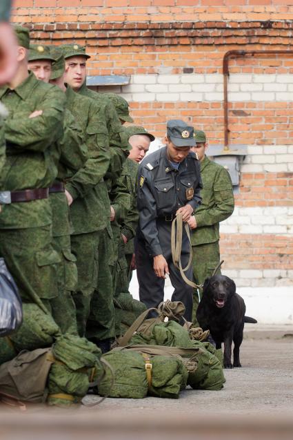 Полицейский кинолог с собакой обследует вещи призывников.