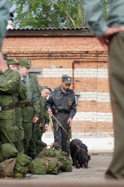 Полицейский кинолог с собакой обследует вещи призывников.