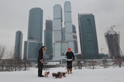 ММДЦ `Москва-Сити`. На снимке: прогулка с собакой.