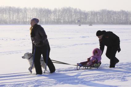 Гонки на собачьих упряжках в Барнауле. На снимке: женщина ведет собаку запряженную в санки, на санках сидит ребенок, которого поддерживает мужчина.