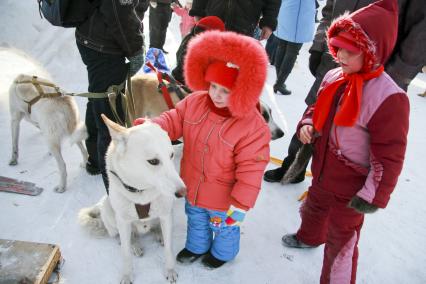 Дети зимой на улице гладят собаку.
