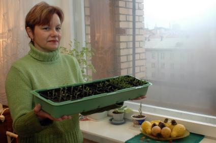 Женщина занимается выросшей на подоконнике рассадой.