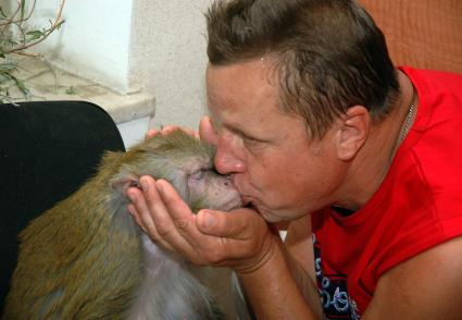 Мужчина целует обезьяну.