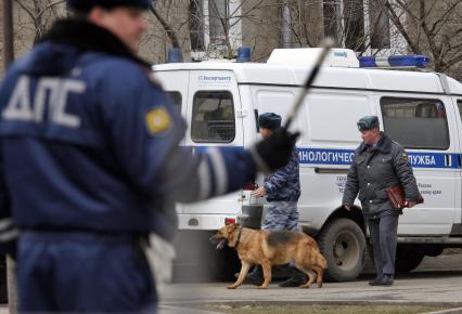 Угроза взрыва в ставропольском банке. На снимке: работа кинологической службы полиции на месте угрозы.