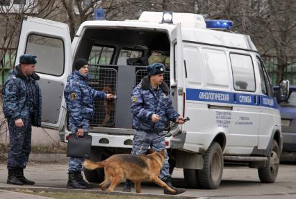 Угроза взрыва в ставропольском банке. На снимке: работа кинологической службы полиции на месте угрозы.