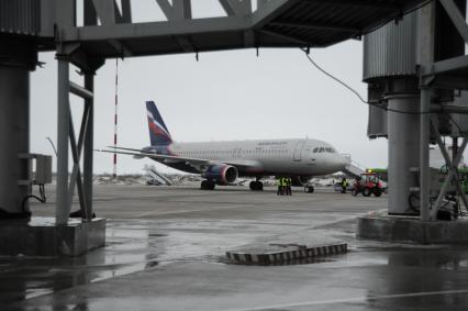 Самолет airbus a320 авиакомпании Аэрофлот в Калининграде