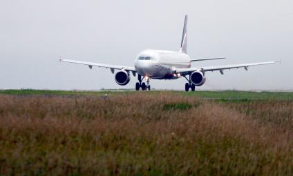 Пассажирский самолет Airbus A321 авиакомпании `Аэрофлот`.