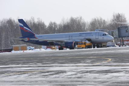 Погрузка багажа в самолет airbus a320 авиакомпании Аэрофлот в Калининграде
