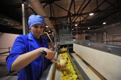 Фермерское хозяйство, принадлежащее главе Национальной резервной корпорации, владельца Национального резервного банка Александра Лебедева. На снимке: механизированная линия обработки картофеля.