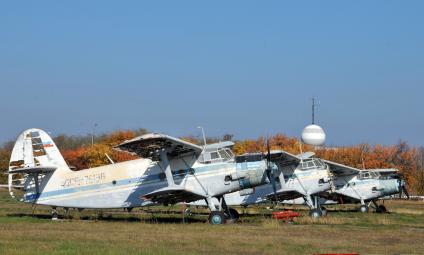 Полуразвалившиеся самолеты ан-2 в аэропорту Ставрополя.