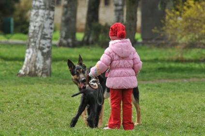 Девочка выгуливает собаку.