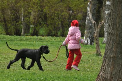 Девочка выгуливает собаку.