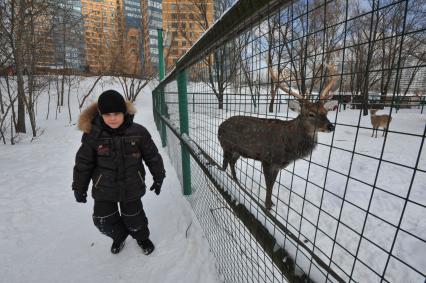 Заповедник Mirax, расположенный на территории жилого комплекса `Золотые ключи — 2`, принадлежащий Корпорации Mirax Group.