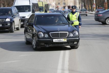 Сотрудники гибдд Калининграда проводят акцию трезвый водитель.