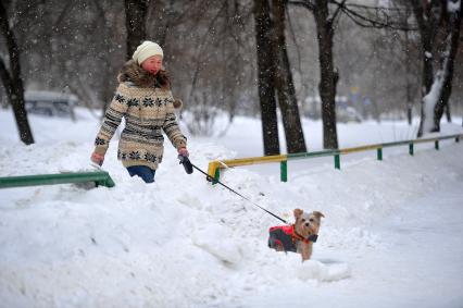 Снег