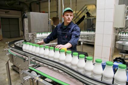 Линия розлива молочной продукции молочного комбината.