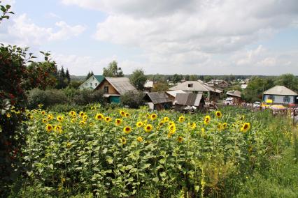 Вид на село Сростки Алтайского края.