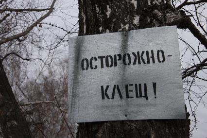 Противоклещевая обработка парков. На снимке: предостерегающая табличка с надписью: `Острожно - клещ!`