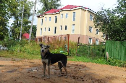 Солнечногорский район. Незаконно построенный жилой дом.