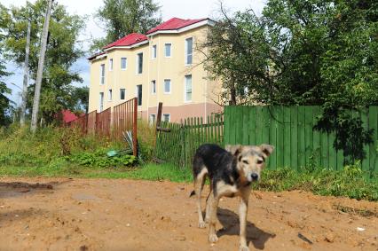 Солнечногорский район. Незаконно построенный жилой дом.