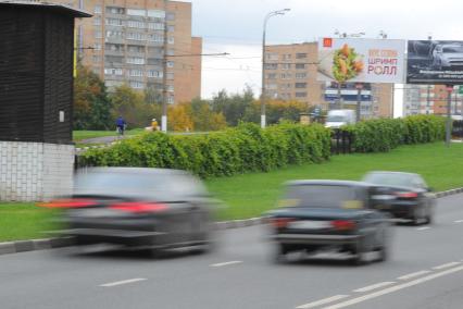 Живая изгородь из дикого винограда. На снимке: автомобили на шоссе.