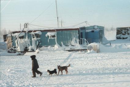 Новый Уренгой. Поселок.