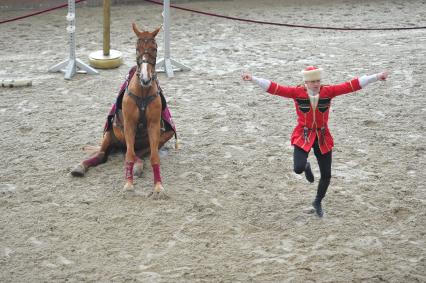 Пресс показ новой программы Кремлёвской школы верховой езды, специально подготовленной для выступления  на конном турнире `Horses&Dreams`.