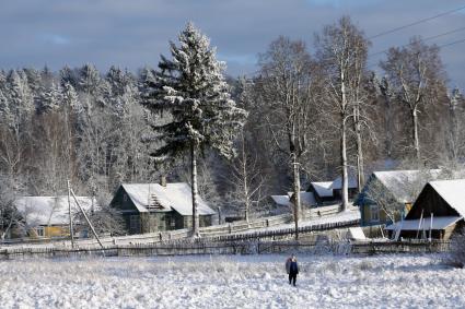Зимний вид на деревню.